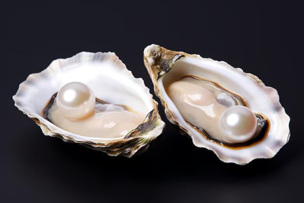 Pearl Oyster