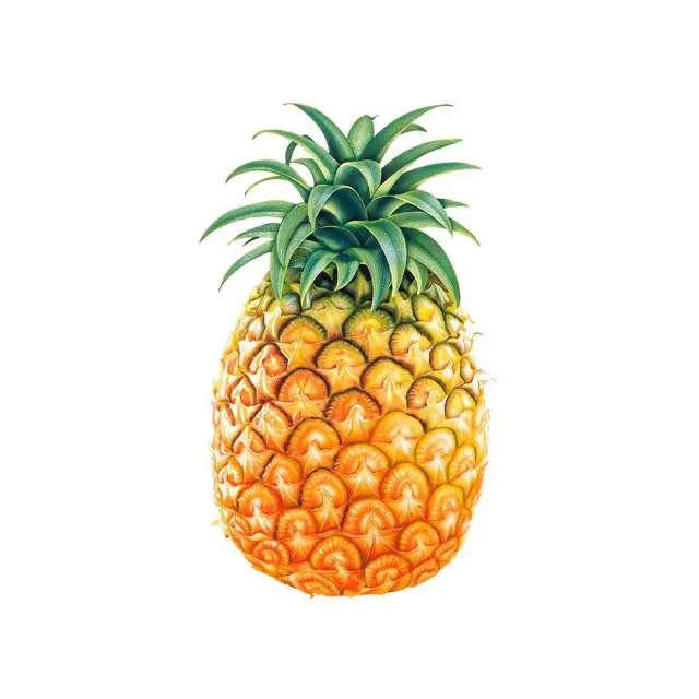 Pineapple