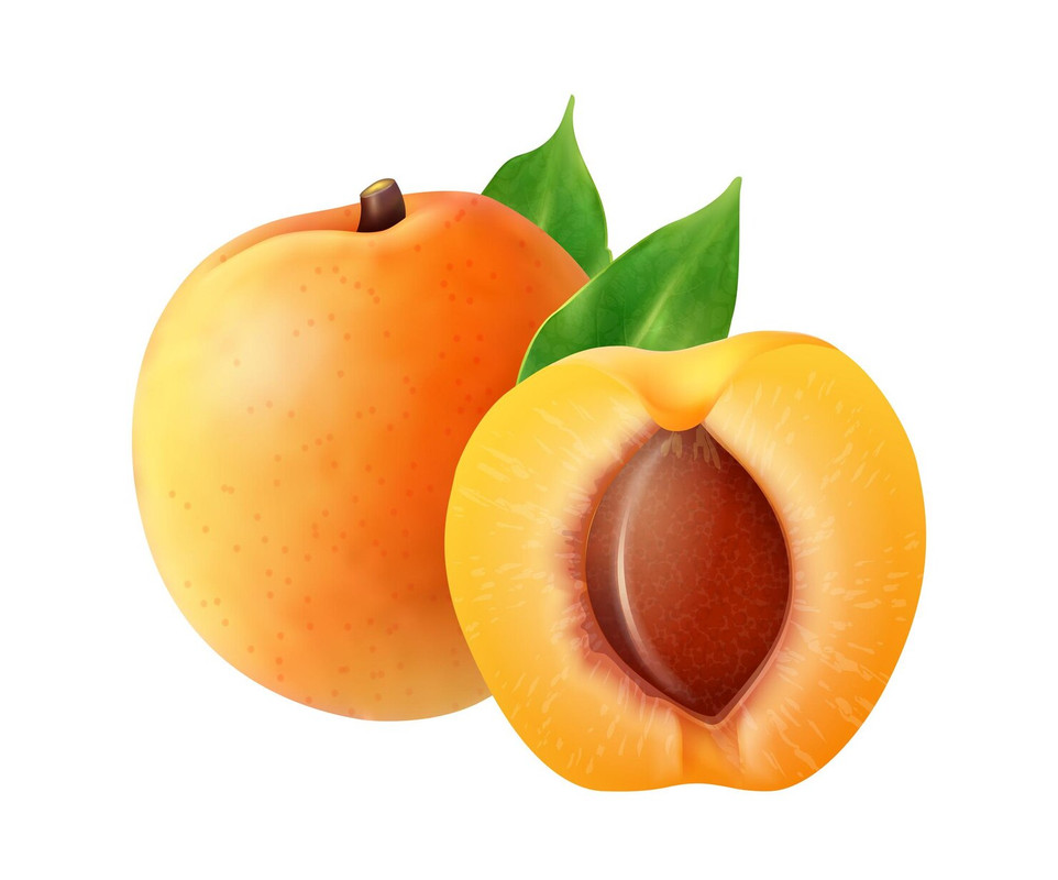 Apricot