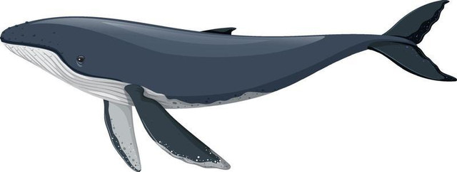 Whale